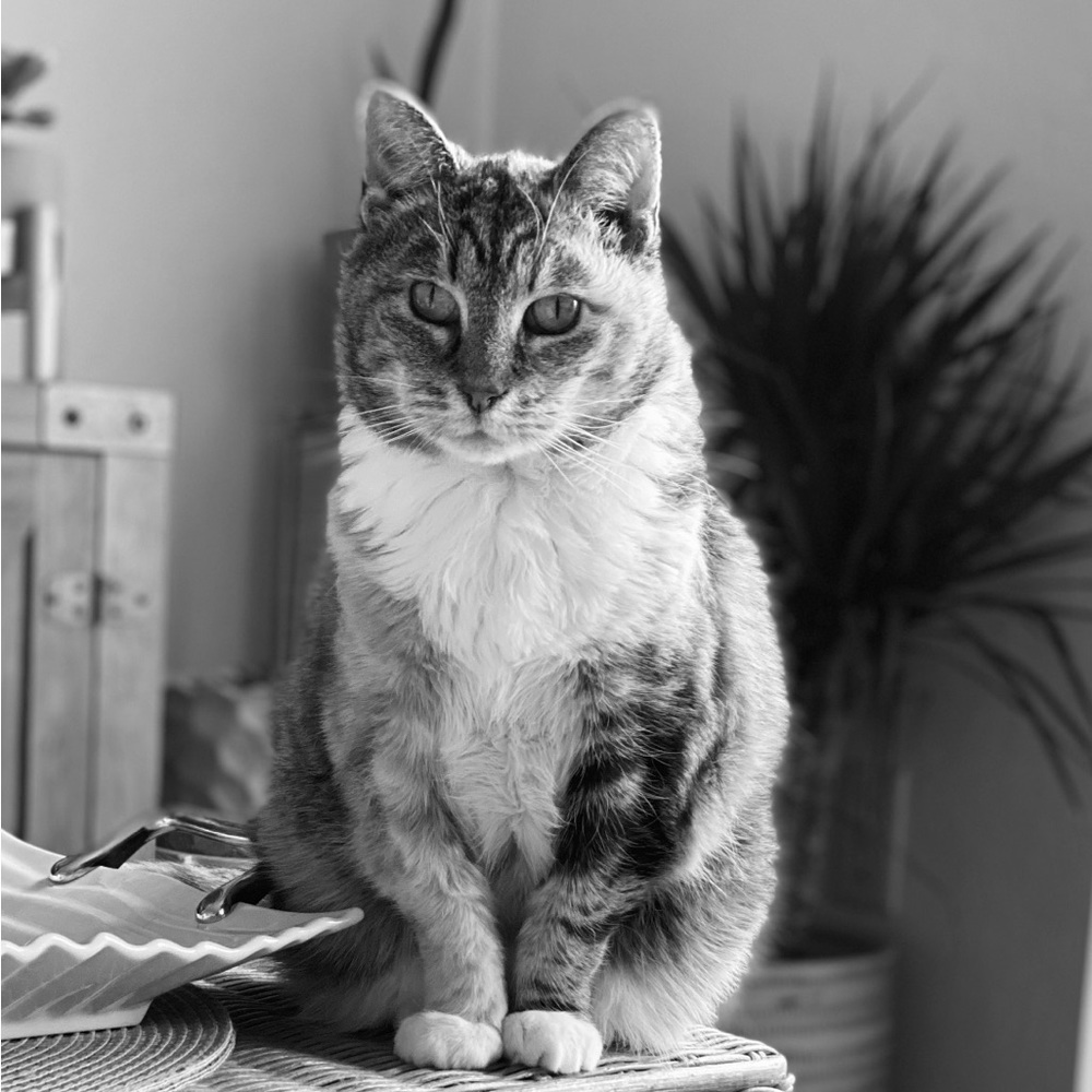 Meet your Posher, Lesley